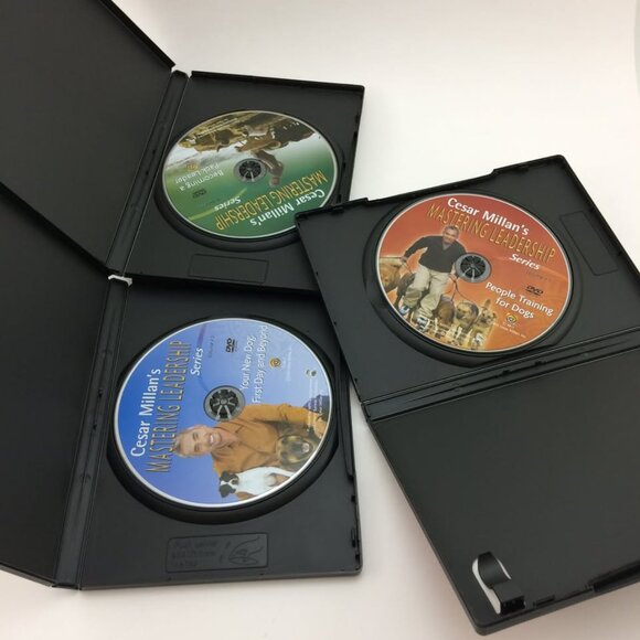 Cesar Milan's Mastering Leadership Dog Training DVD Series Vol 1, 2 ,3 - Picture 8 of 10